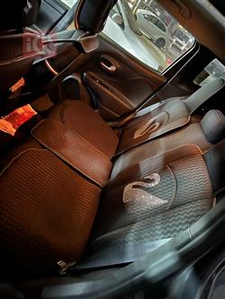 جيب رينيجيد